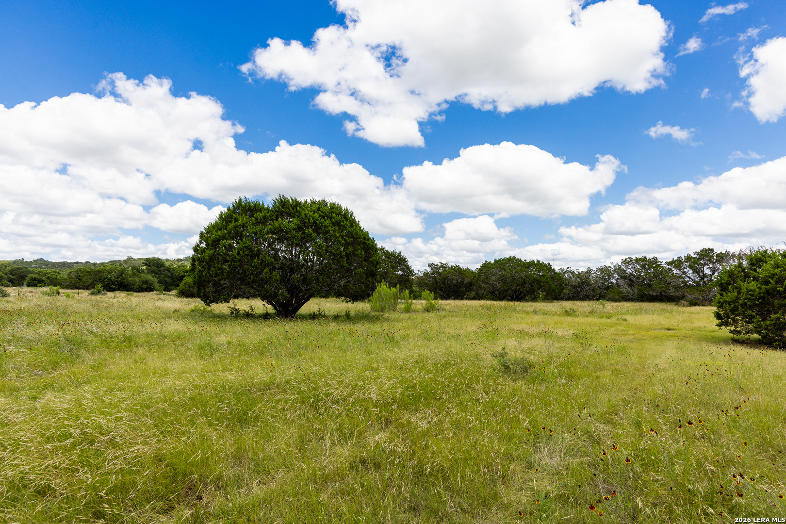 289 Hoot Owl Hollow Ingram TX 78025