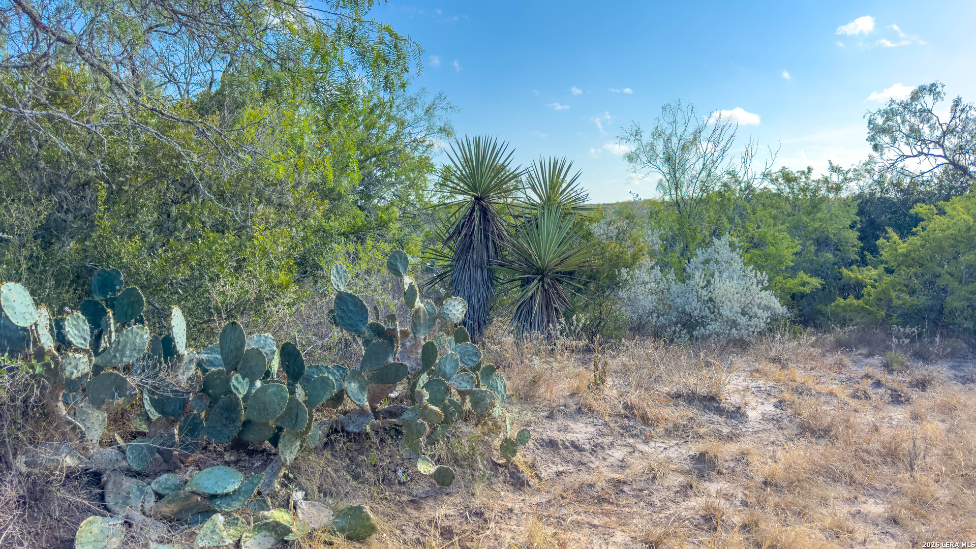 2 Fm 534 Sandia TX 78383
