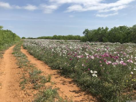 1305 Vergara Road Dilley TX 78017