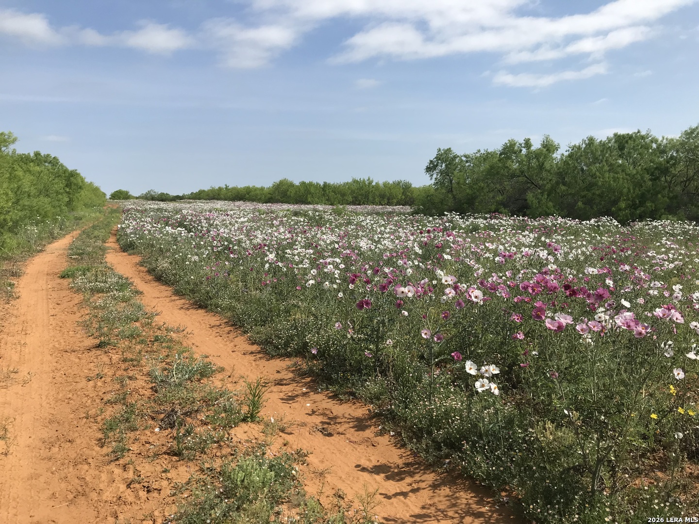 1305 Vergara Road Dilley TX 78017