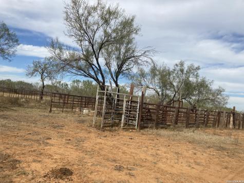 1305 Vergara Road Dilley TX 78017
