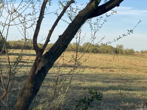 1305 Vergara Road Dilley TX 78017