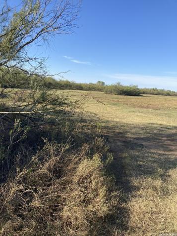 1305 Vergara Road Dilley TX 78017