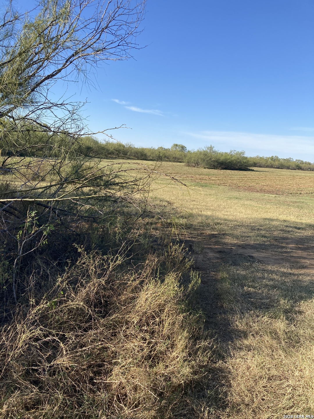 1305 Vergara Road Dilley TX 78017