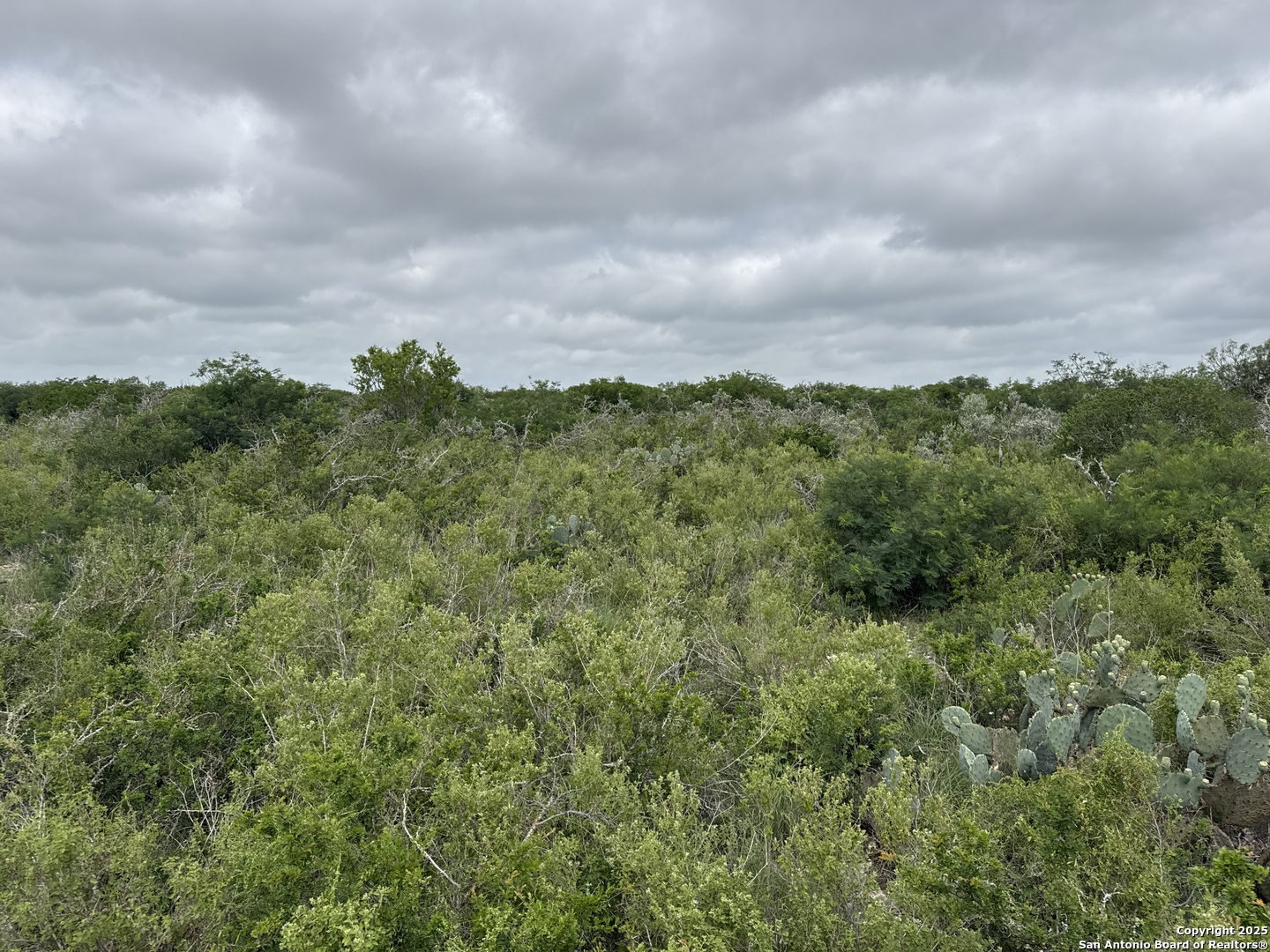 675 Legend Hills Uvalde TX 78801