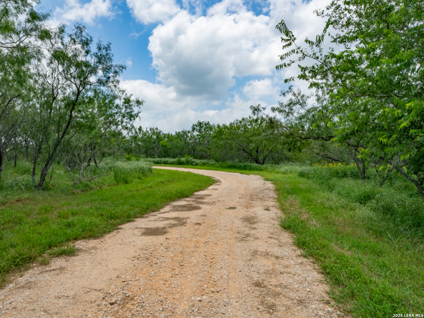 1393 Fox Trotter Seguin TX 78155