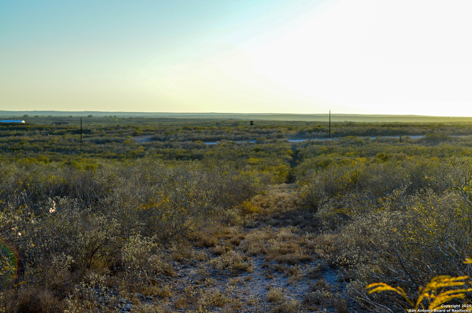 Tbd Live Oak Spur George West TX 78022