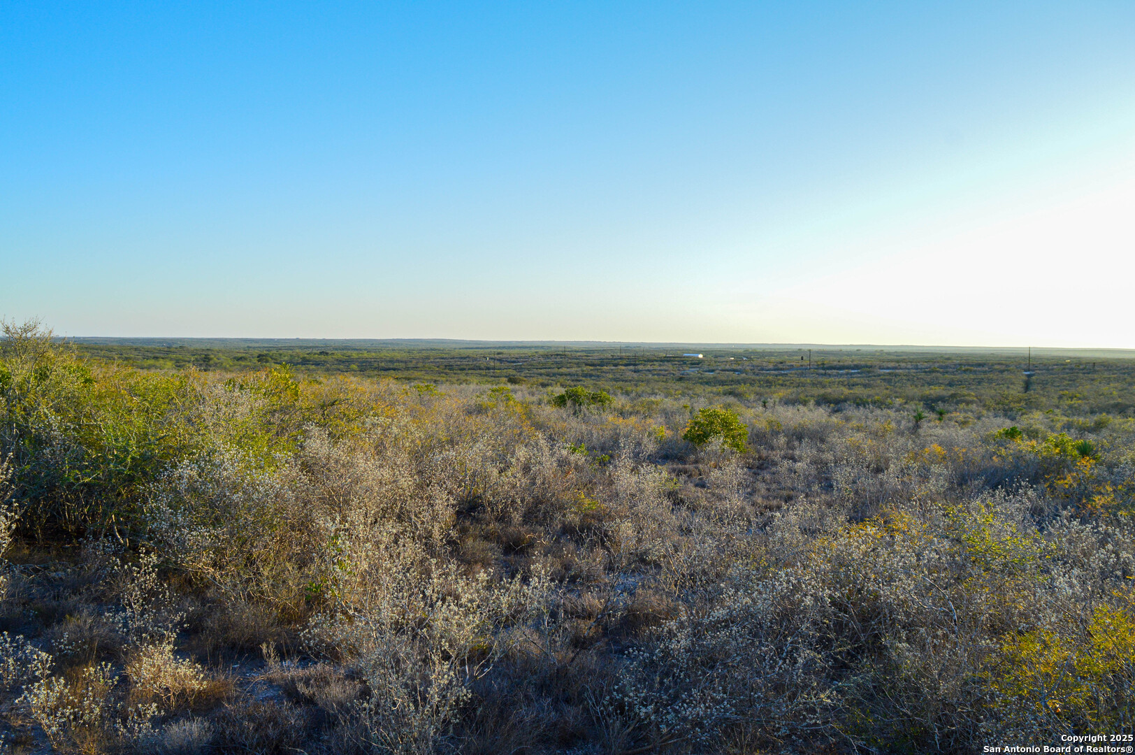 Tbd Live Oak Spur George West TX 78022