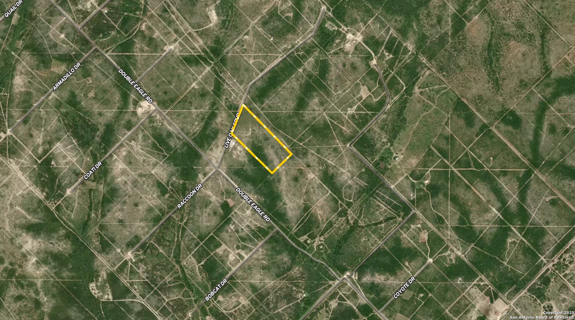 Tbd Live Oak Spur George West TX 78022