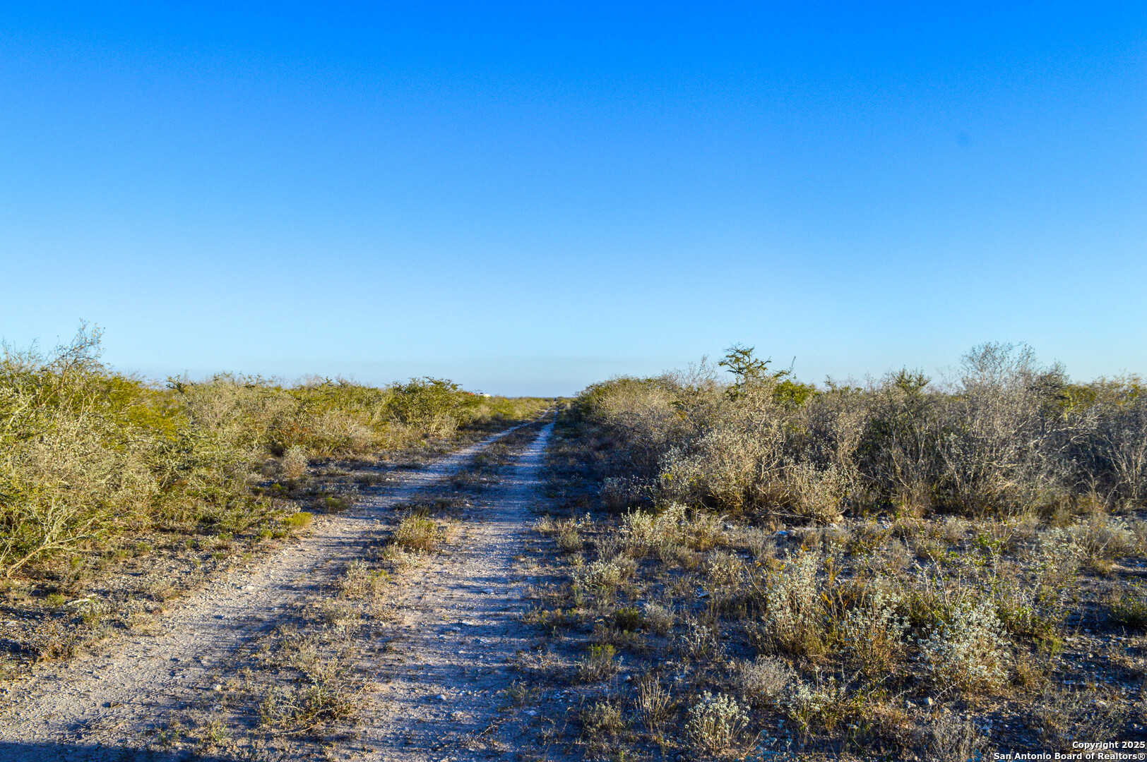 Tbd Live Oak Spur George West TX 78022