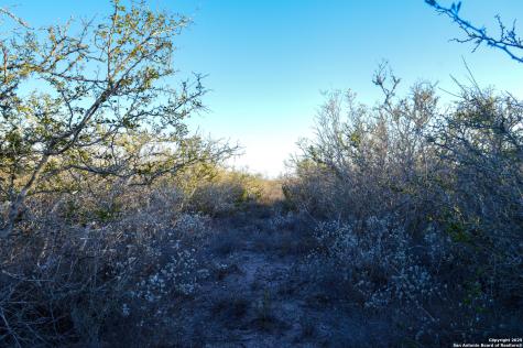 Tbd Live Oak Spur George West TX 78022