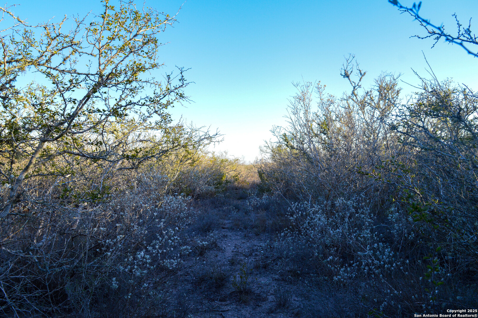 Tbd Live Oak Spur George West TX 78022