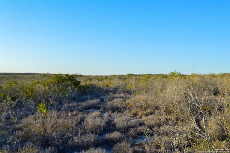 Tbd Live Oak Spur George West TX 78022