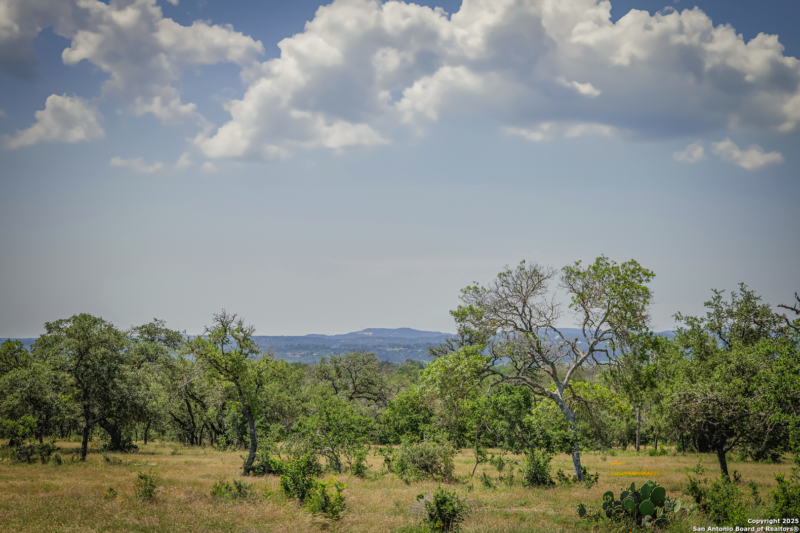 925 Fm 473 Boerne TX 78006