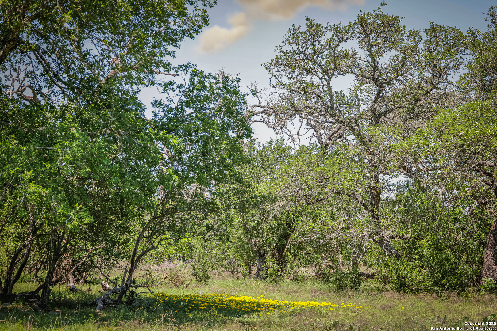 925 Fm 473 Boerne TX 78006