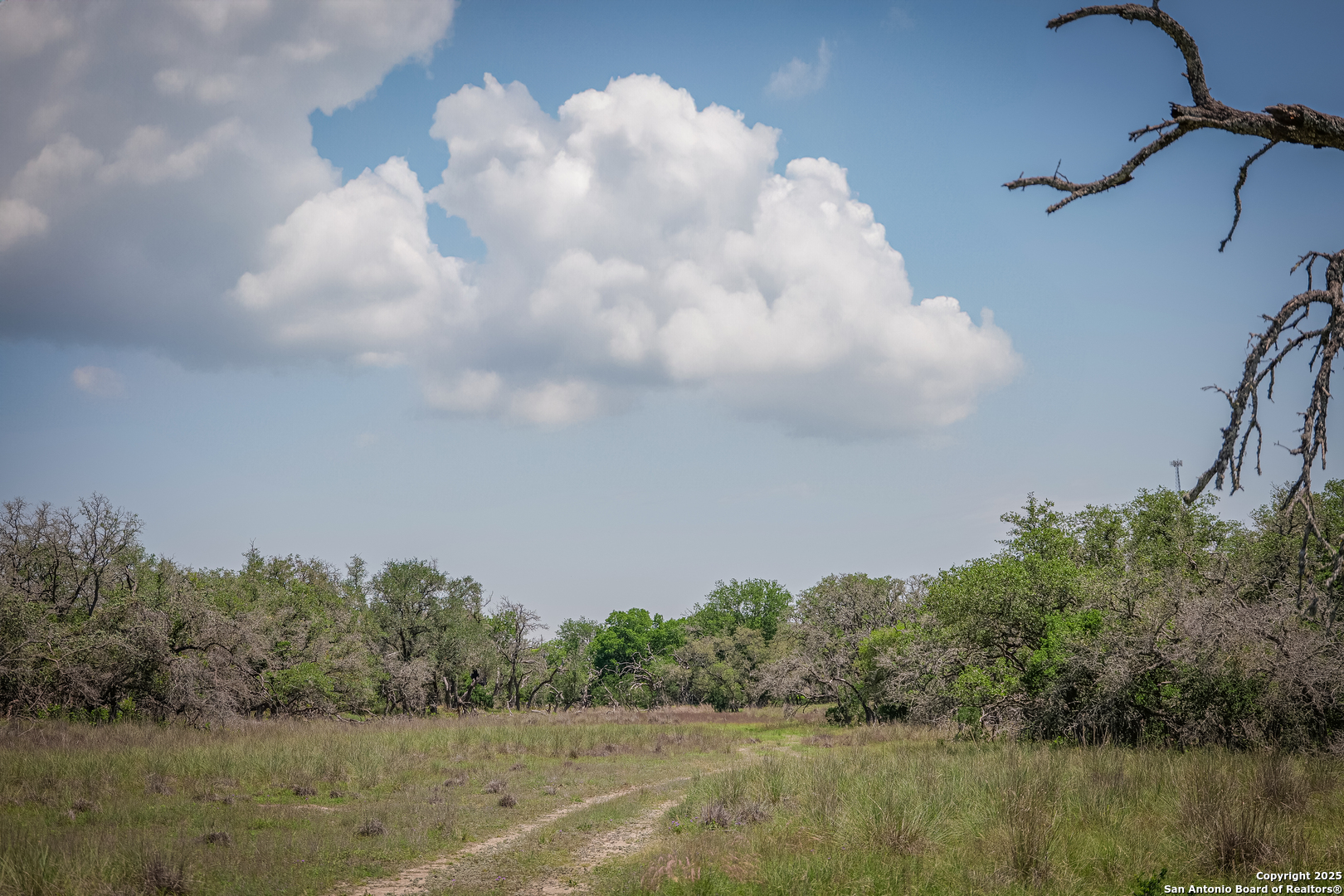 925 Fm 473 Boerne TX 78006