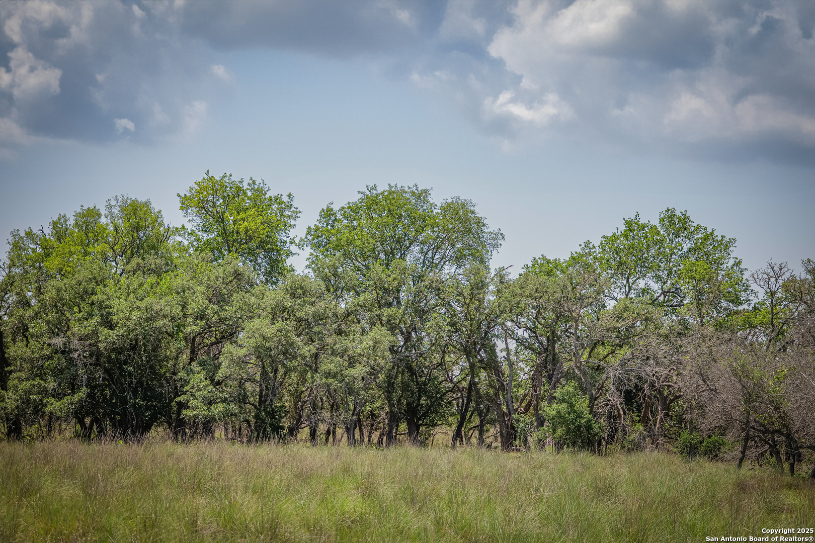 925 Fm 473 Boerne TX 78006