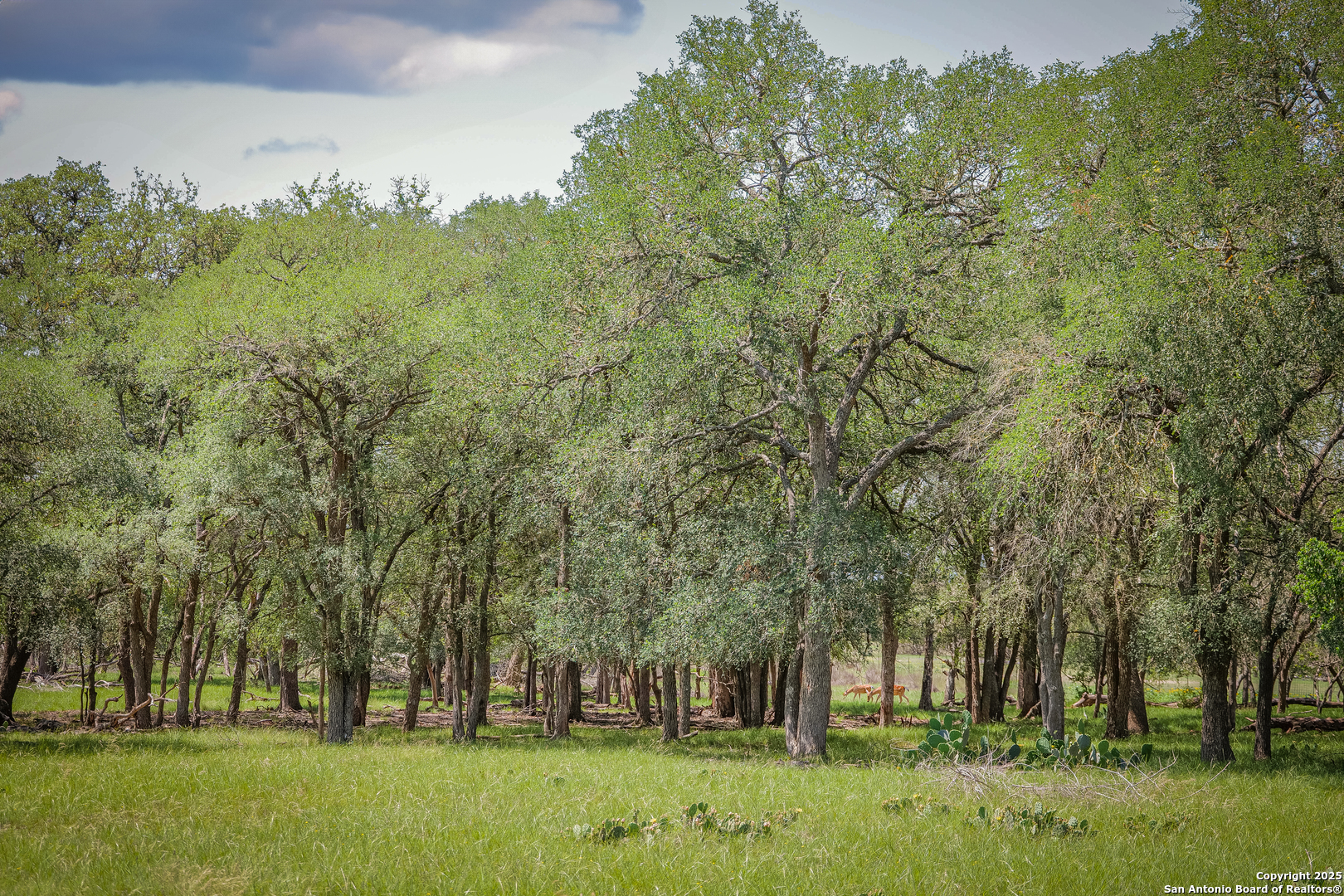 925 Fm 473 Boerne TX 78006