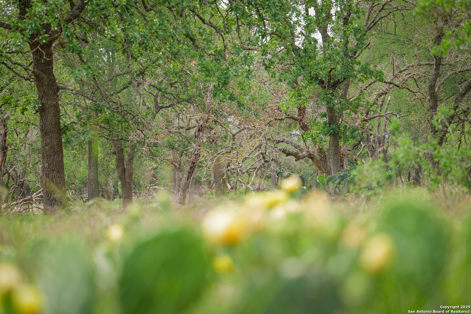 925 Fm 473 Boerne TX 78006