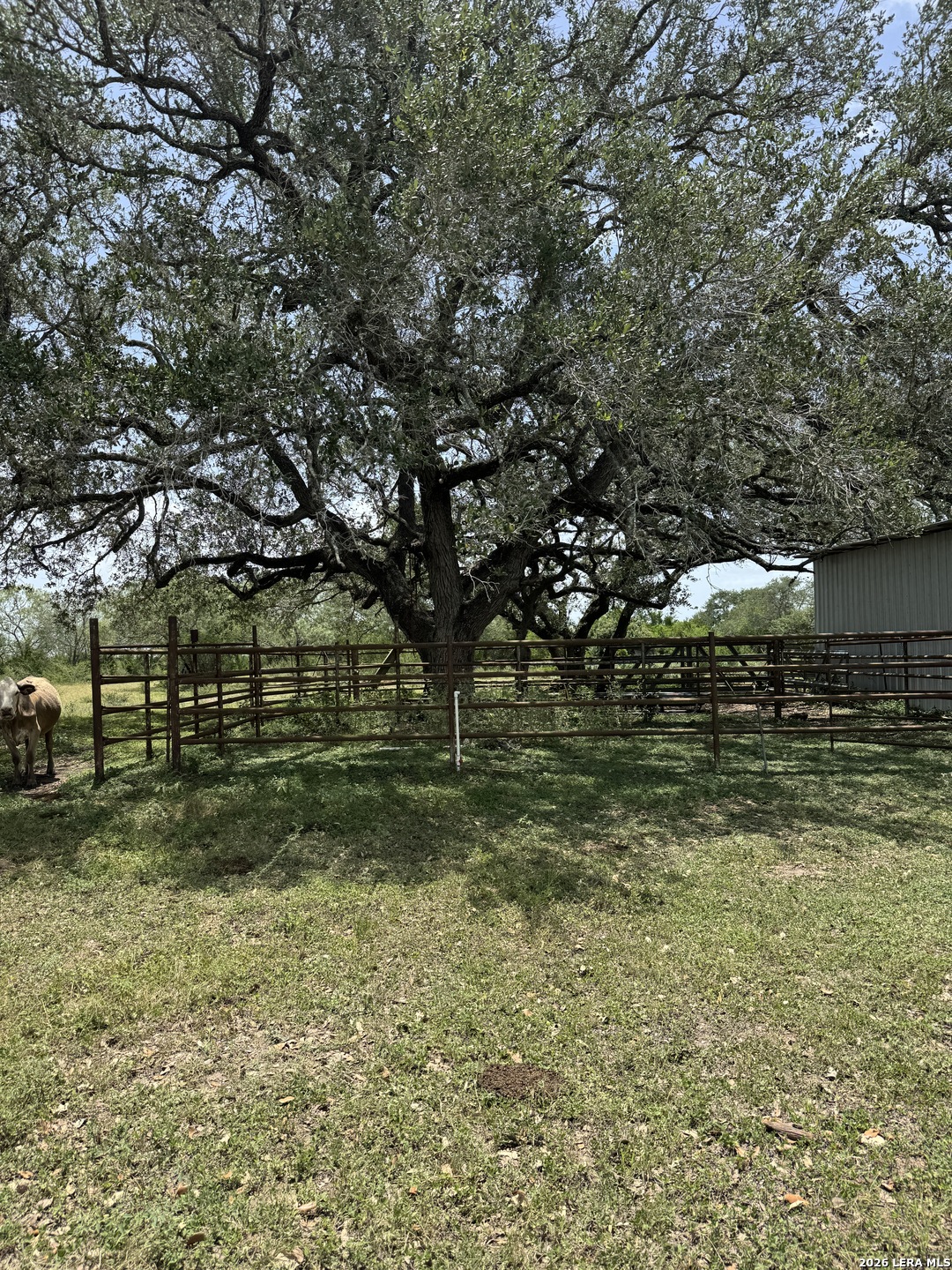 405 Ochoa Nordheim TX 78141