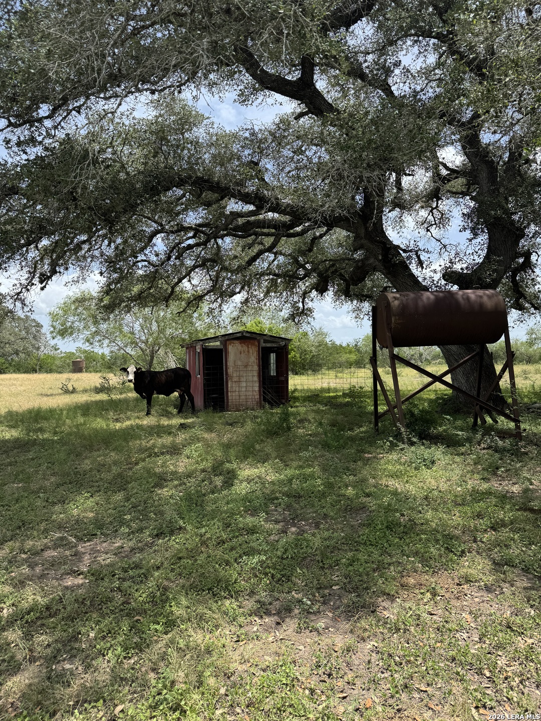 405 Ochoa Nordheim TX 78141