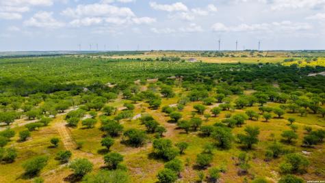 13538 Cr 133 Pawnee TX 78145