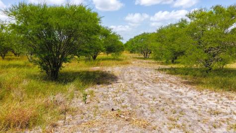 13538 Cr 133 Pawnee TX 78145