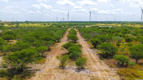 13538 Cr 133 Pawnee TX 78145