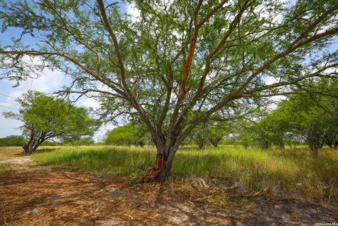 13538 Cr 133 Pawnee TX 78145