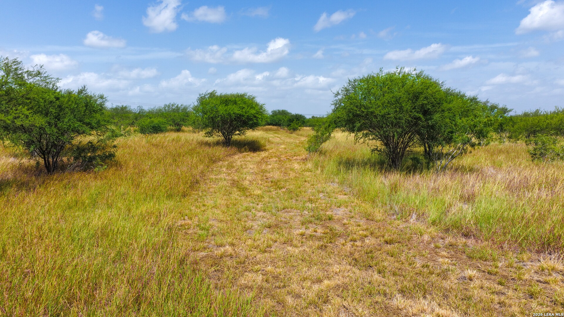 13538 Cr 133 Pawnee TX 78145