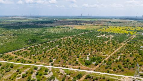 13538 Cr 133 Pawnee TX 78145
