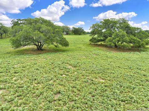1494 County Road 433 Stockdale TX 78160