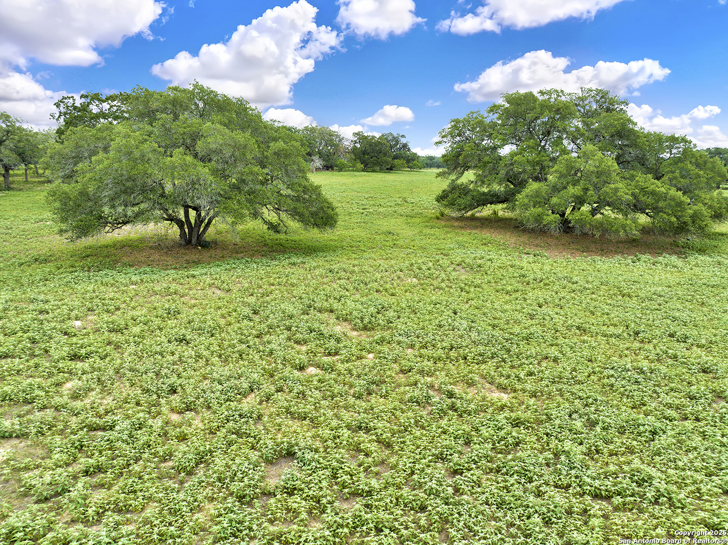 1494 County Road 433 Stockdale TX 78160
