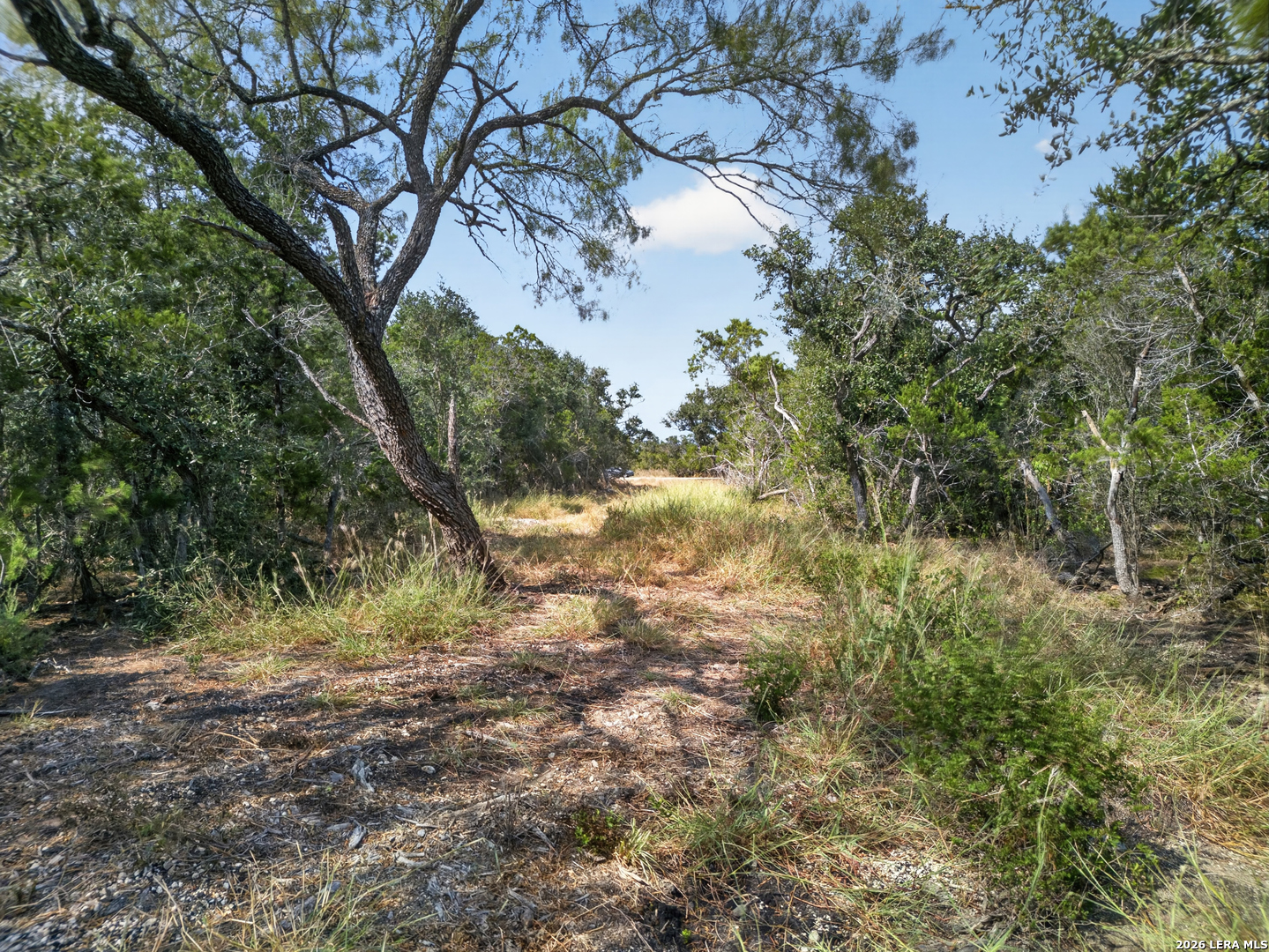 Lot 15 1796 Ranch Dhanis TX 78850