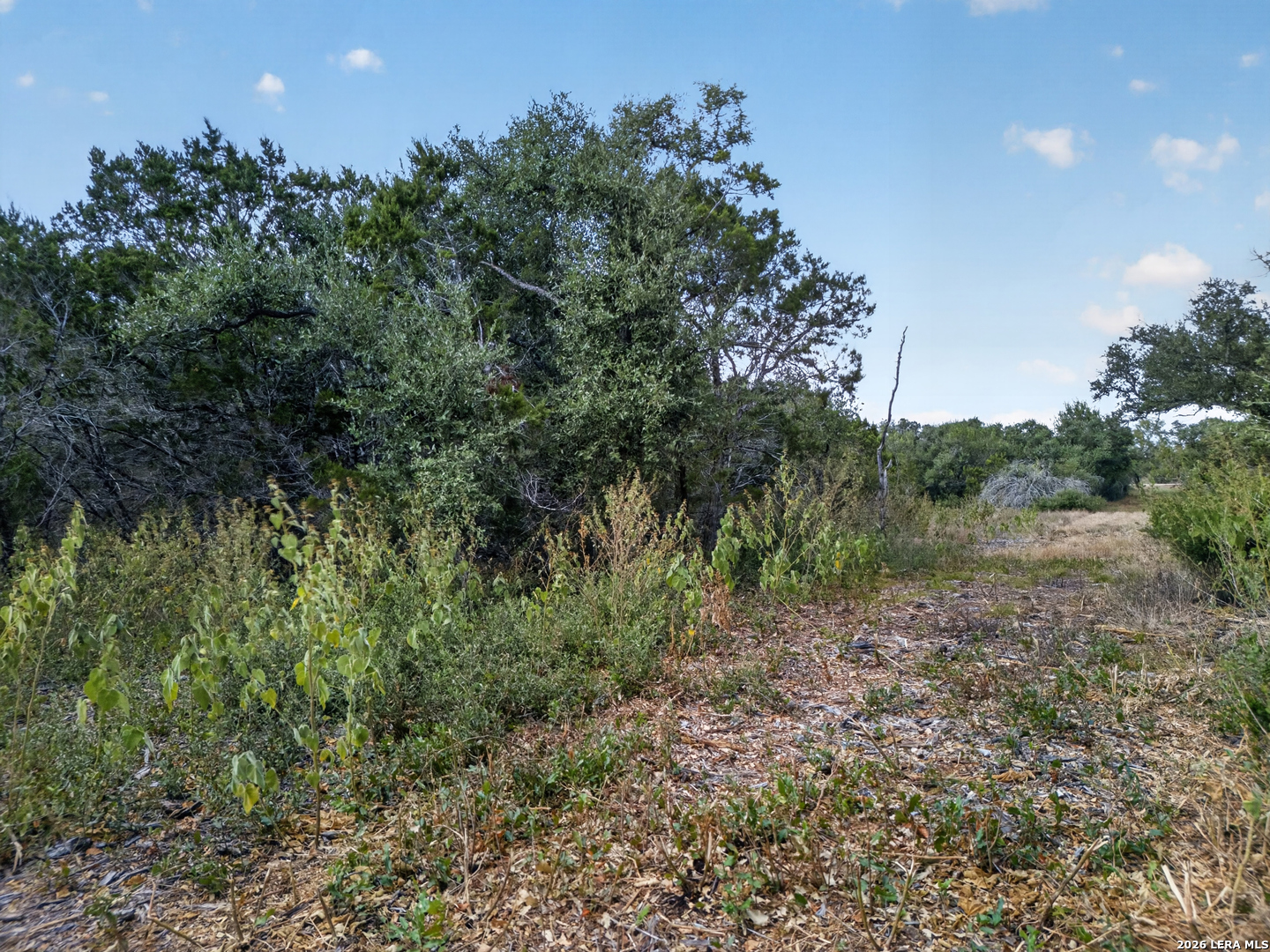 Lot 15 1796 Ranch Dhanis TX 78850