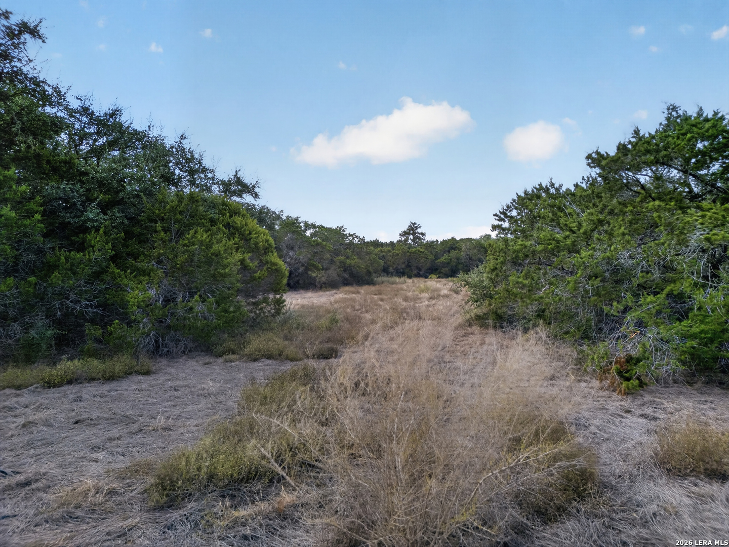 Lot 15 1796 Ranch Dhanis TX 78850