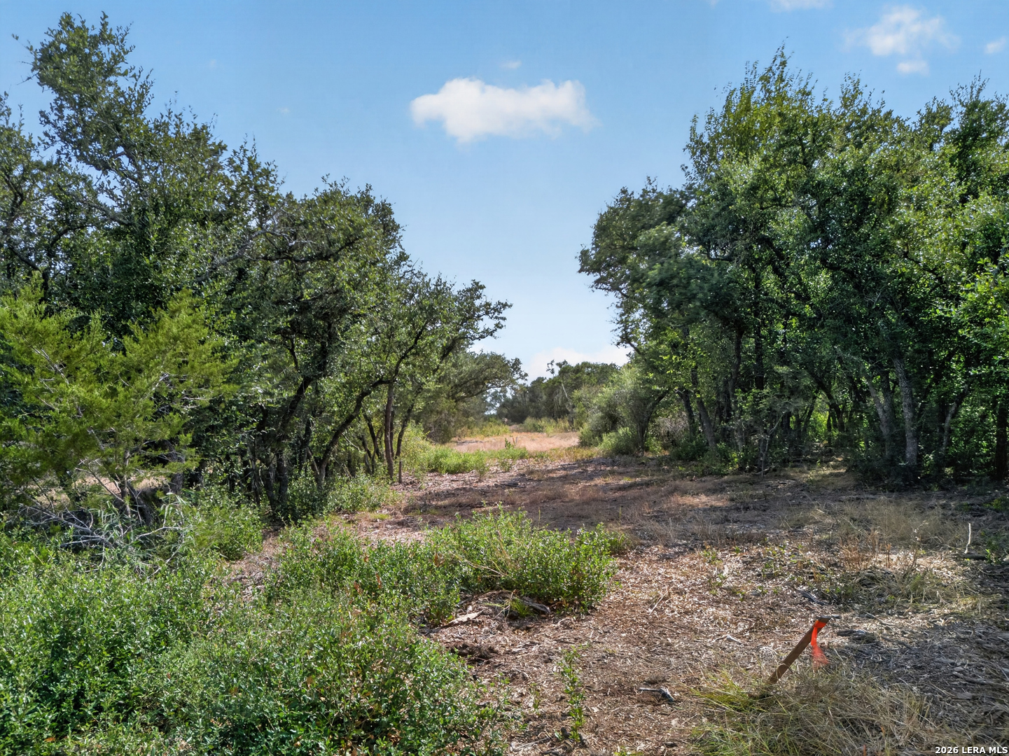 Lot 15 1796 Ranch Dhanis TX 78850