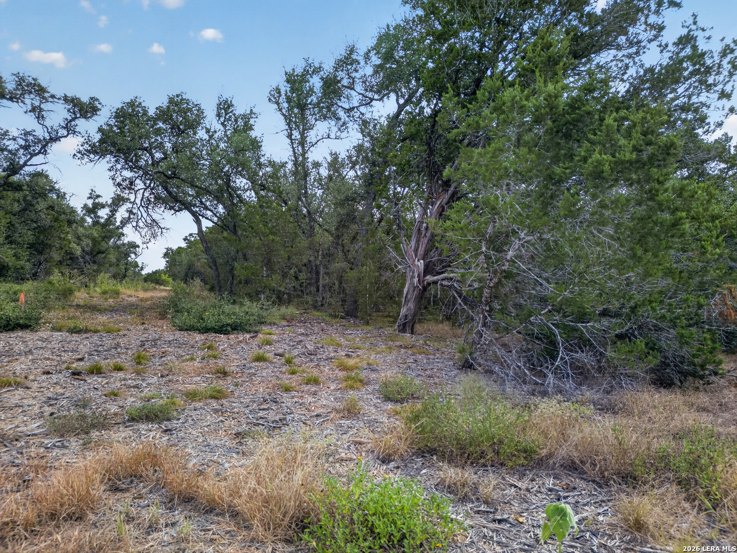 Lot 15 1796 Ranch Dhanis TX 78850