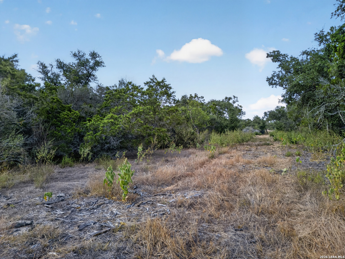 Lot 15 1796 Ranch Dhanis TX 78850