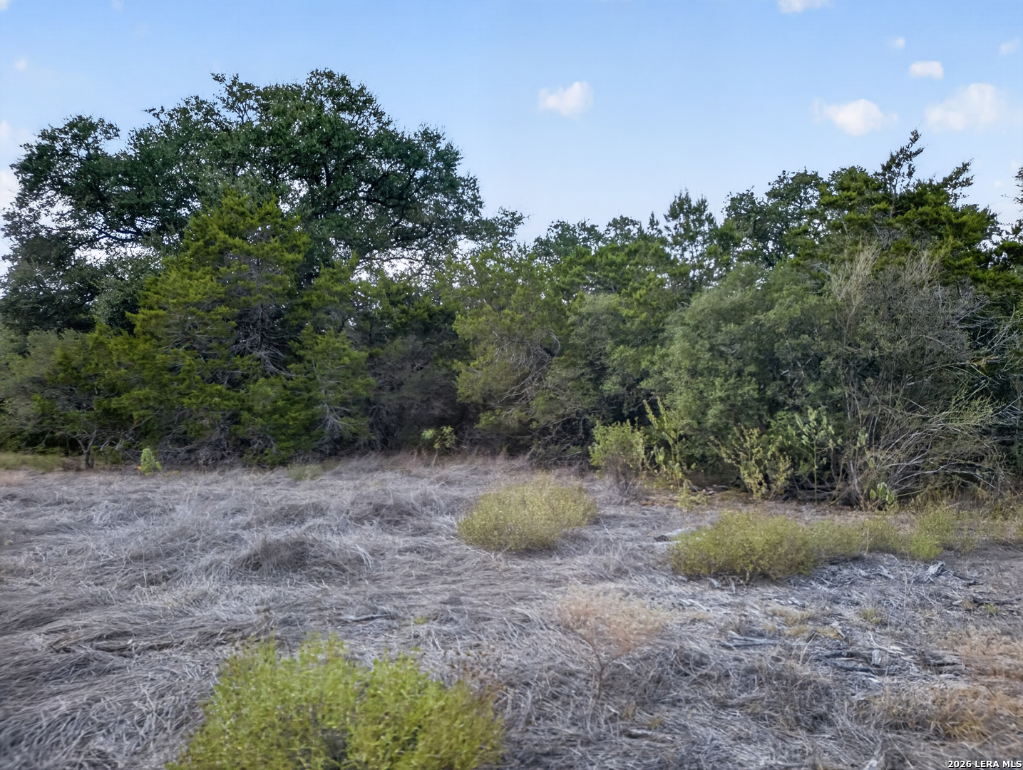 Lot 15 1796 Ranch Dhanis TX 78850