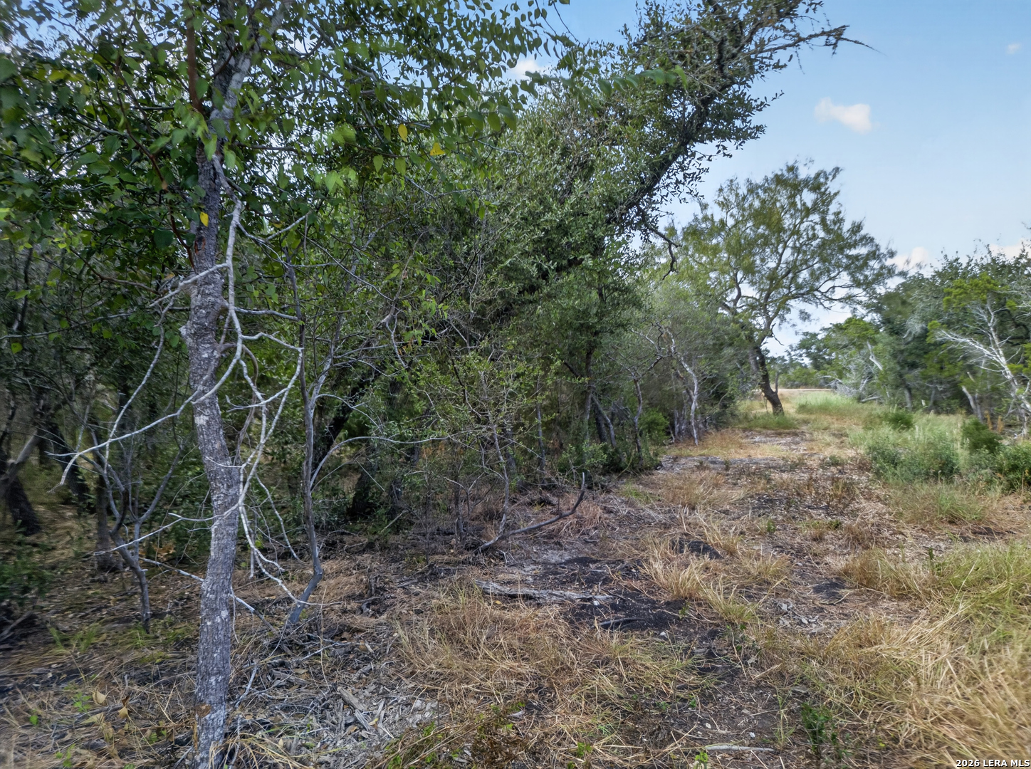 Lot 15 1796 Ranch Dhanis TX 78850