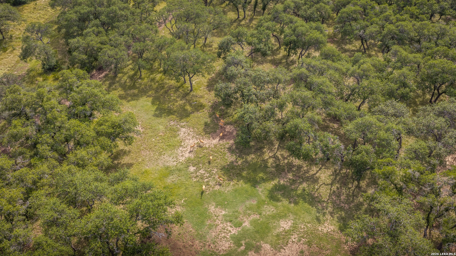 140 Sattler Road Spring Branch TX 78070
