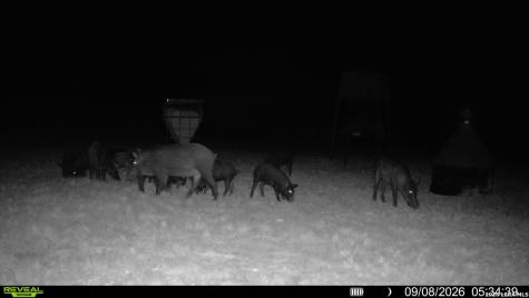 6018 N Ranch Road 2523 Brackettville TX 78332