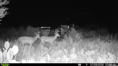 6018 N Ranch Road 2523 Brackettville TX 78332