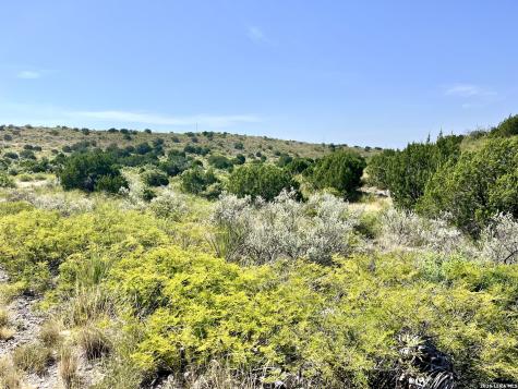 6018 N Ranch Road 2523 Brackettville TX 78332