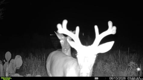 6018 N Ranch Road 2523 Brackettville TX 78332
