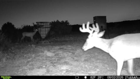 6018 N Ranch Road 2523 Brackettville TX 78332