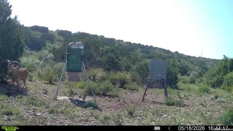 6018 N Ranch Road 2523 Brackettville TX 78332