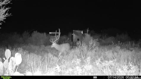 6018 N Ranch Road 2523 Brackettville TX 78332
