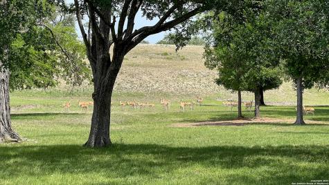 560 Westwway Drive Kerrville TX 78028